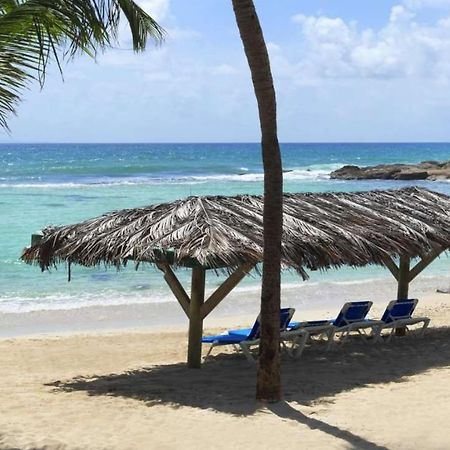 Le Petit Eden - Residence 3 Etoiles - Piscine Et Plage "Le Manganao" سانت فرانسوا المظهر الخارجي الصورة