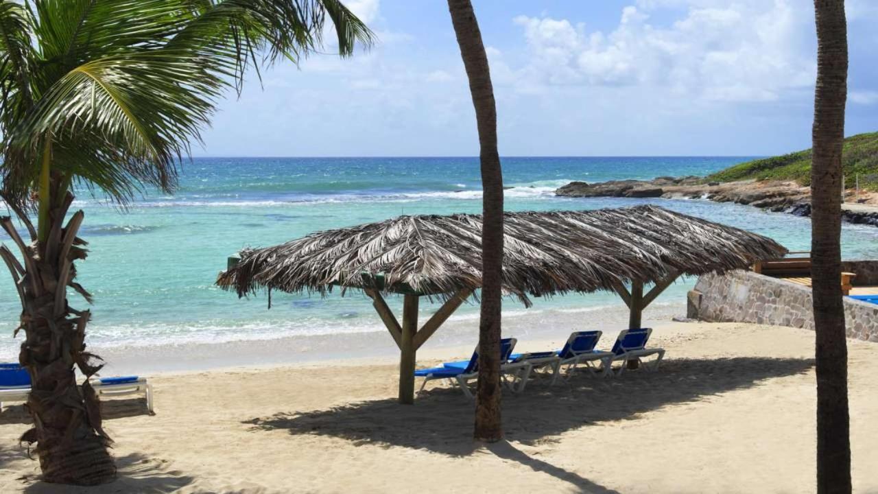 Le Petit Eden - Residence 3 Etoiles - Piscine Et Plage "Le Manganao" سانت فرانسوا المظهر الخارجي الصورة