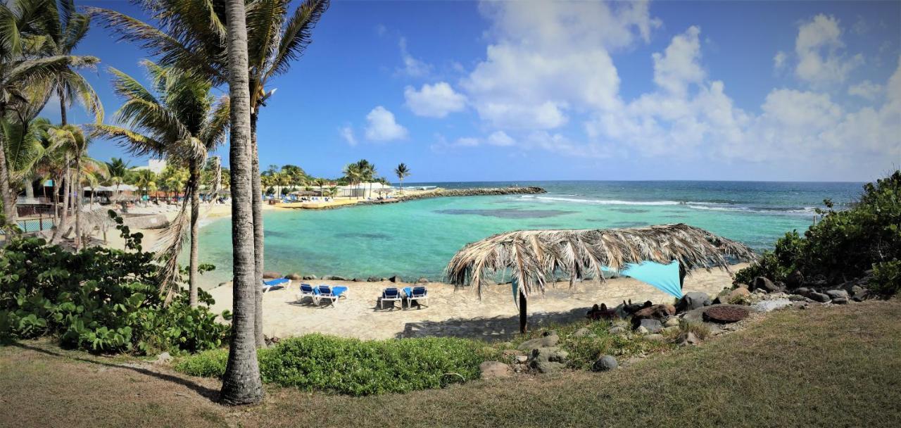 Le Petit Eden - Residence 3 Etoiles - Piscine Et Plage "Le Manganao" سانت فرانسوا المظهر الخارجي الصورة